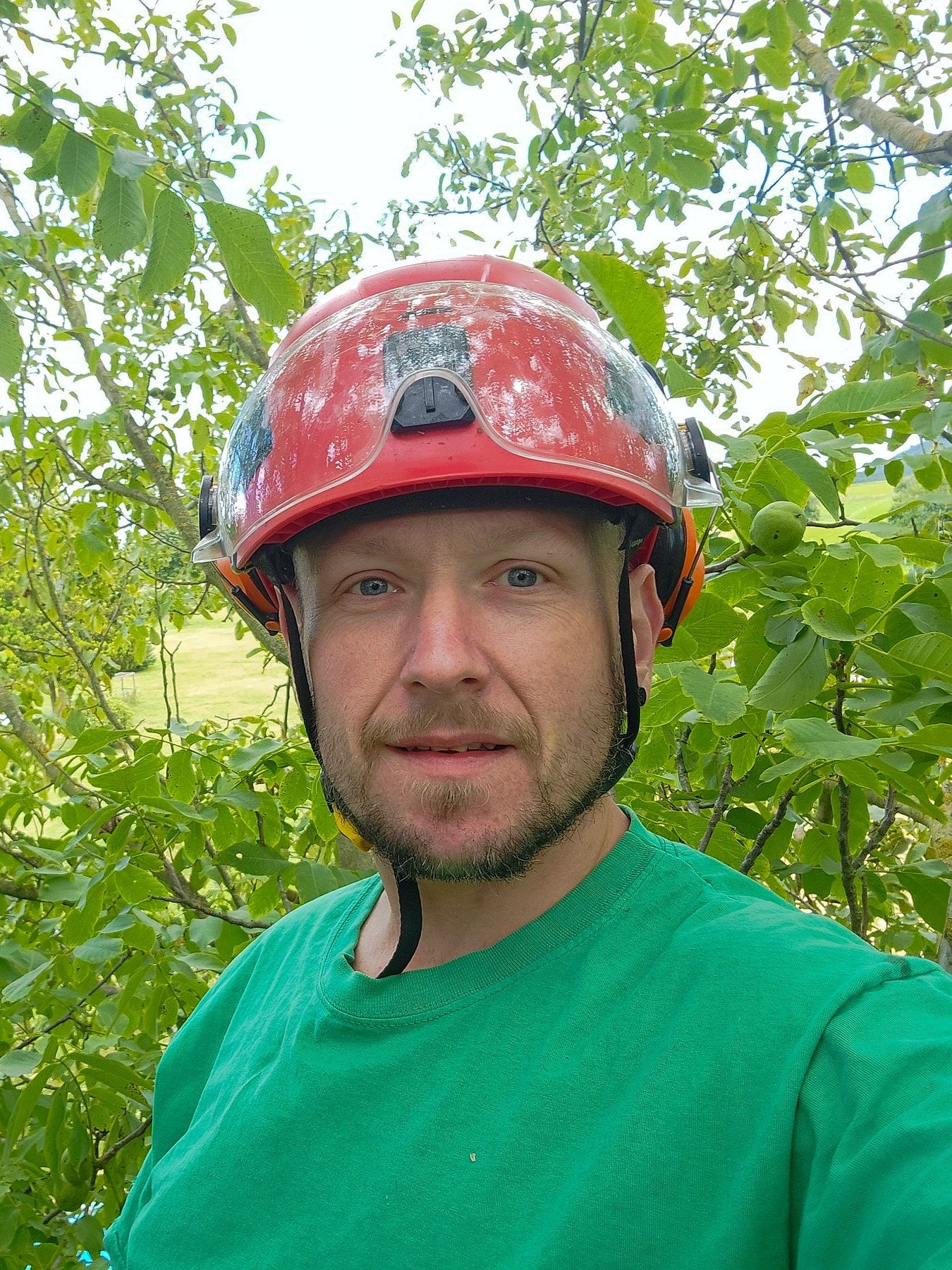 Gerd Winkler mit Kletterhelm und Seilausrüstung in einer Baumkrone