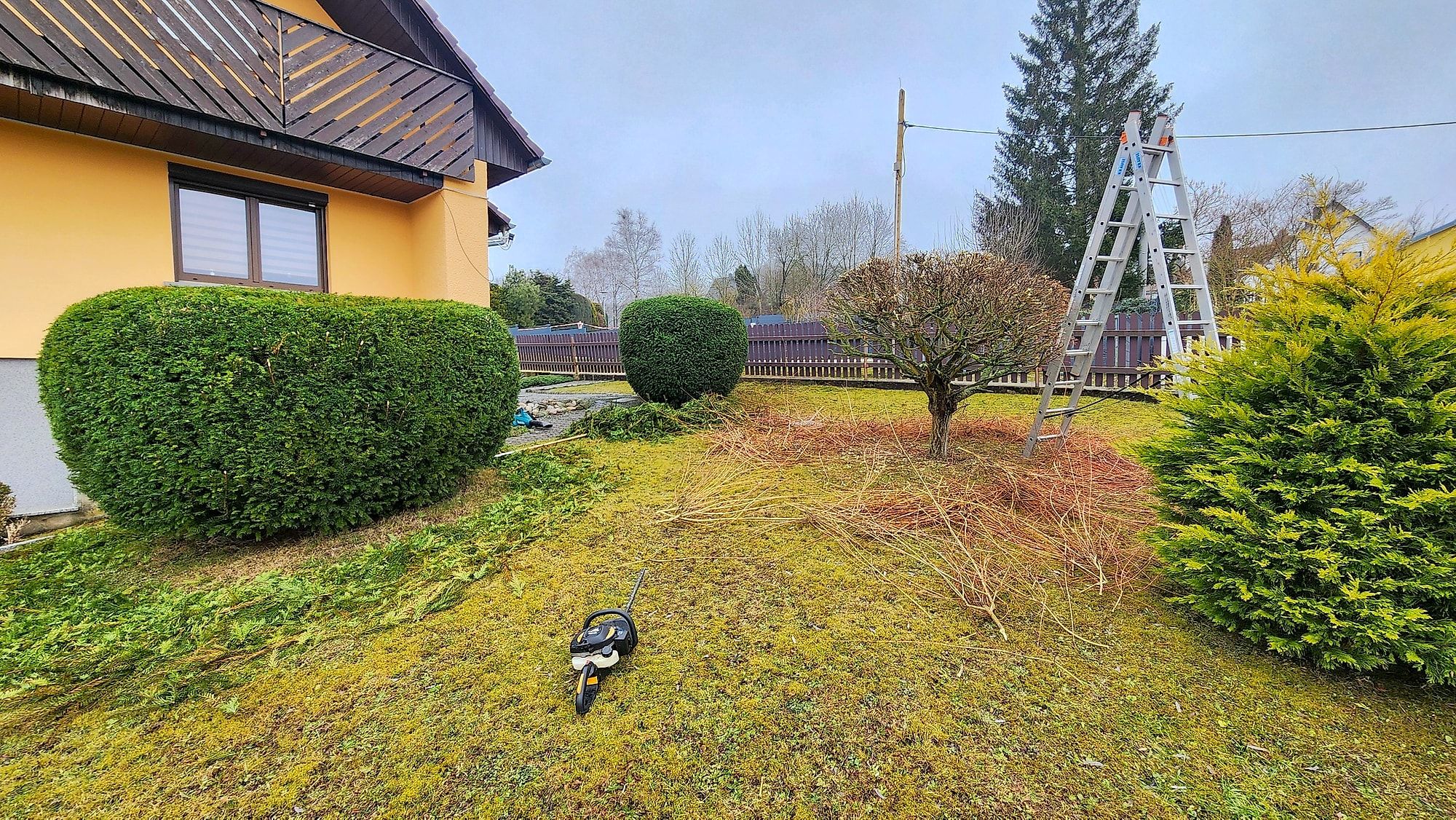 Frisch in Form geschnittene Hecken und Sträucher in einem Garten