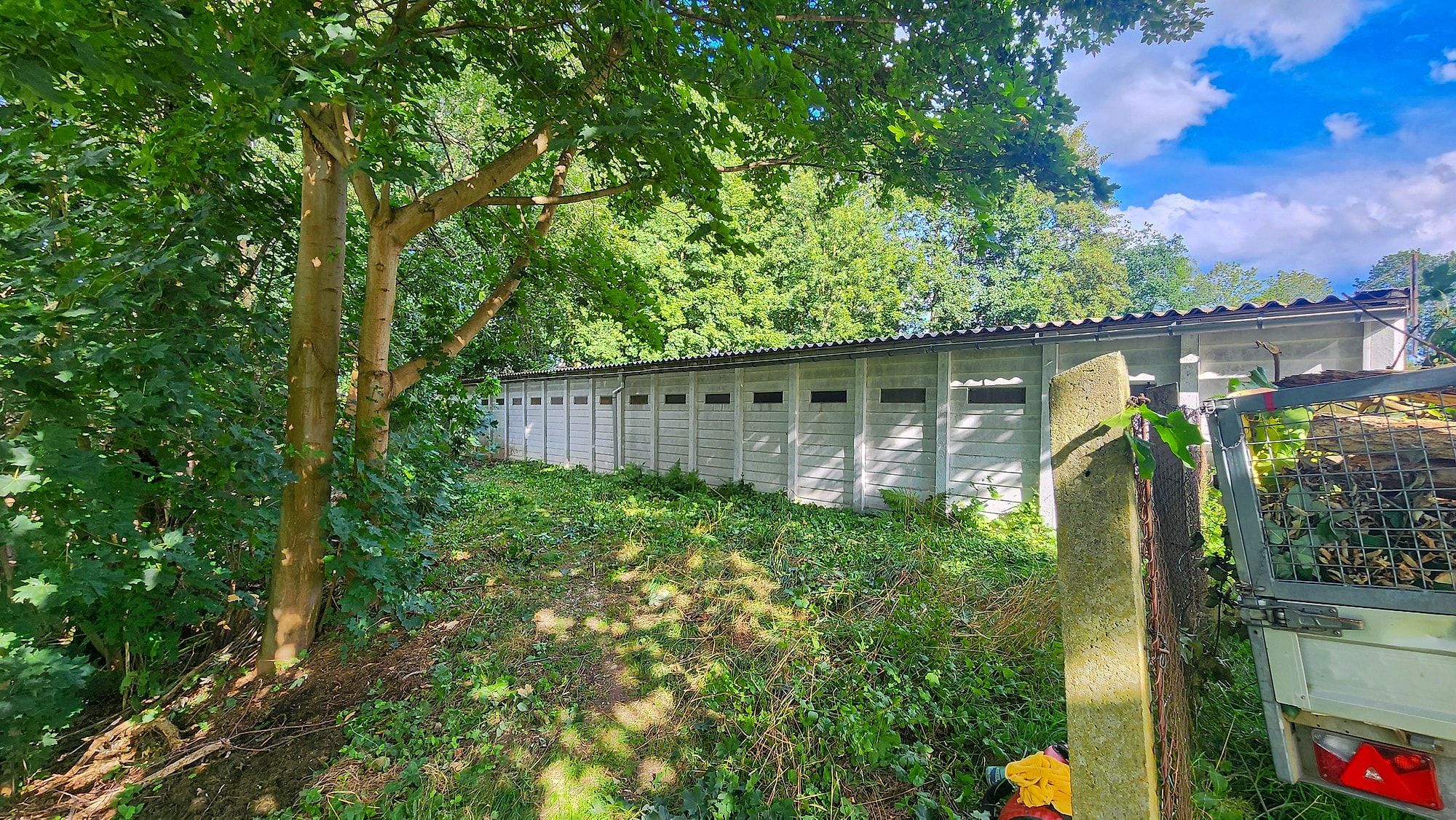 Freigeräumter Weg nach dem Aufarbeiten von Sturmholz